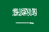DTL/DL Disposable Vape POD Shisha Saudi Arabia